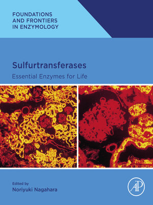cover image of Sulfurtransferases